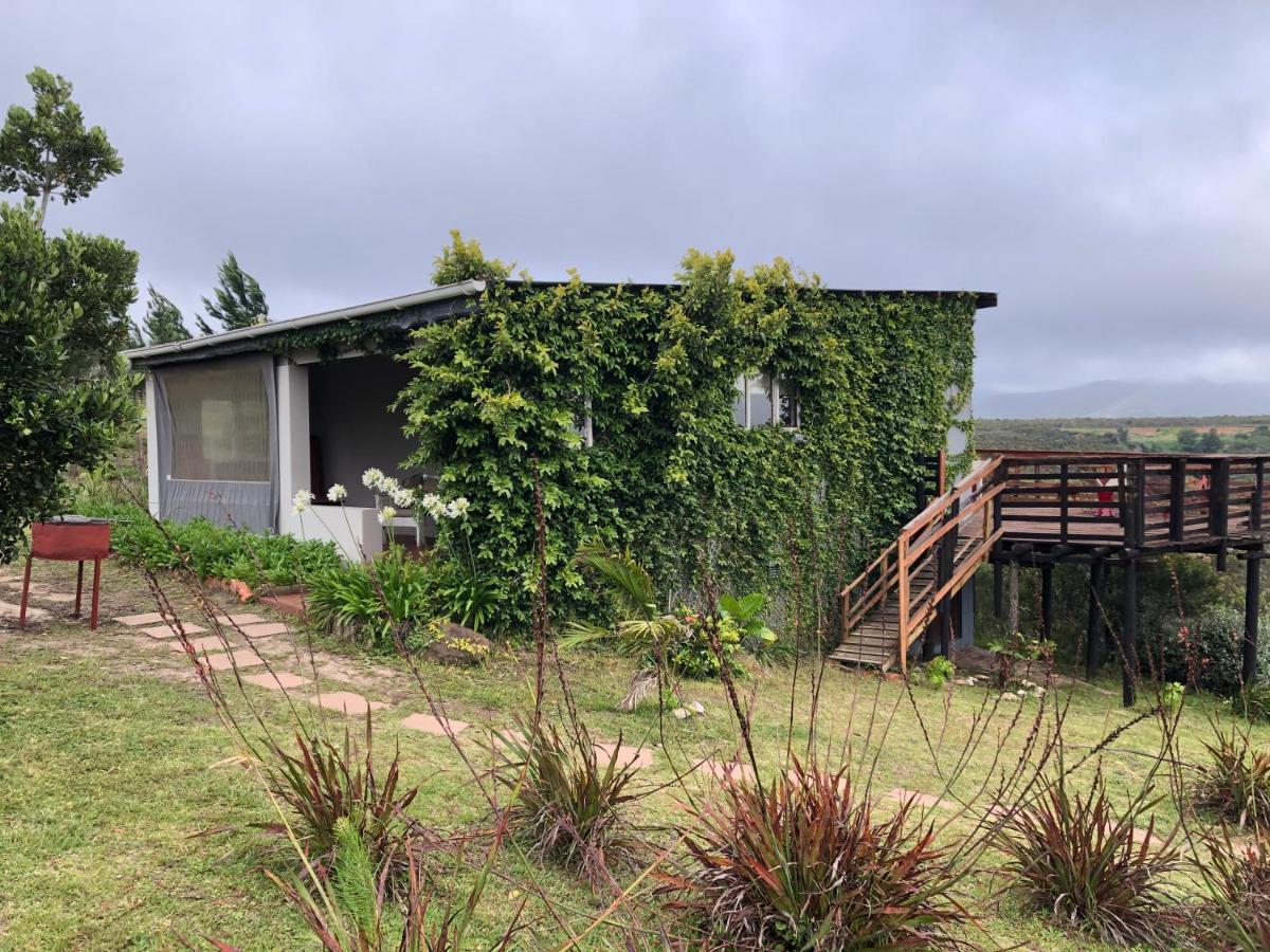 Rainforest Ridge Eco Resort The Crags Exterior foto