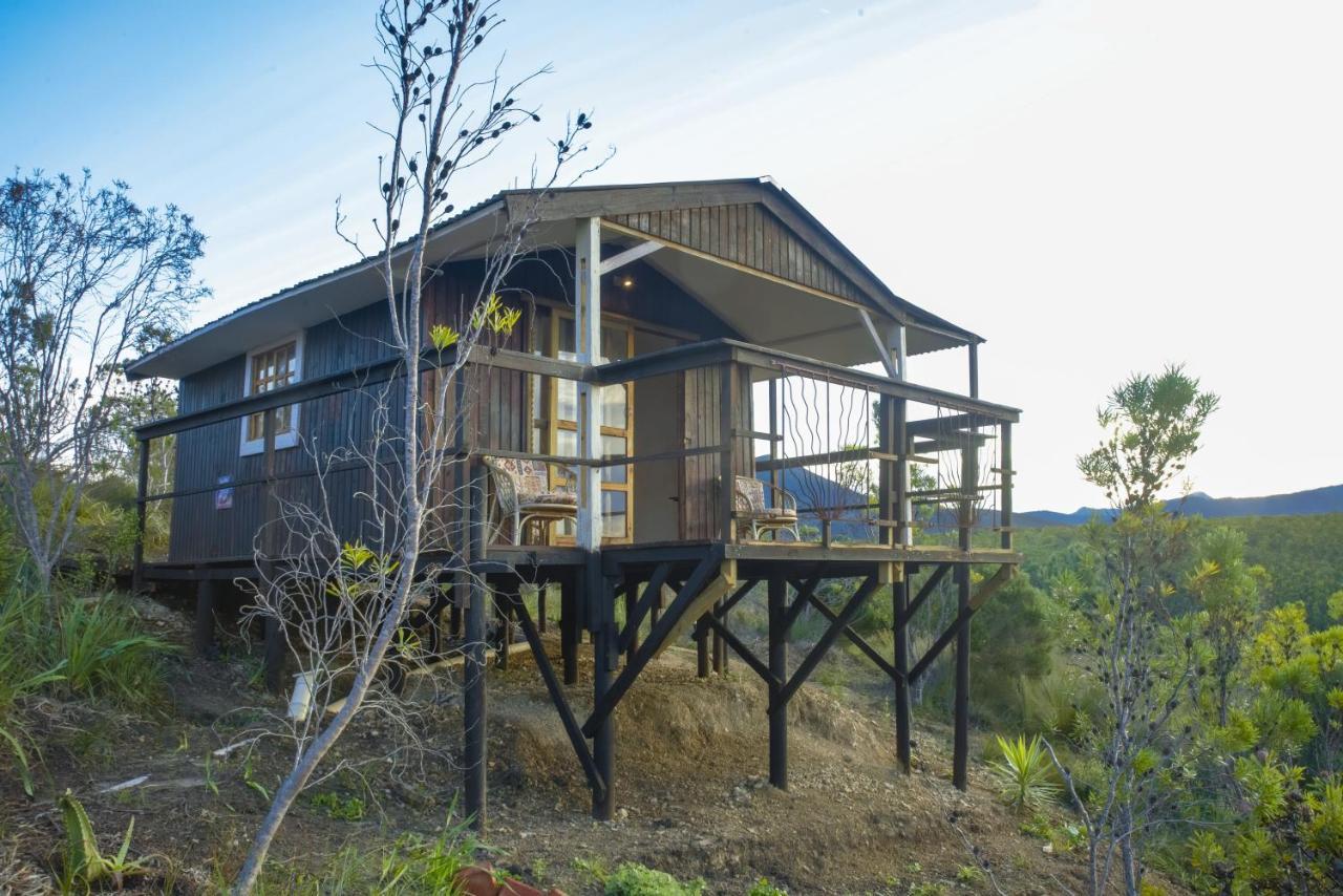 Rainforest Ridge Eco Resort The Crags Exterior foto